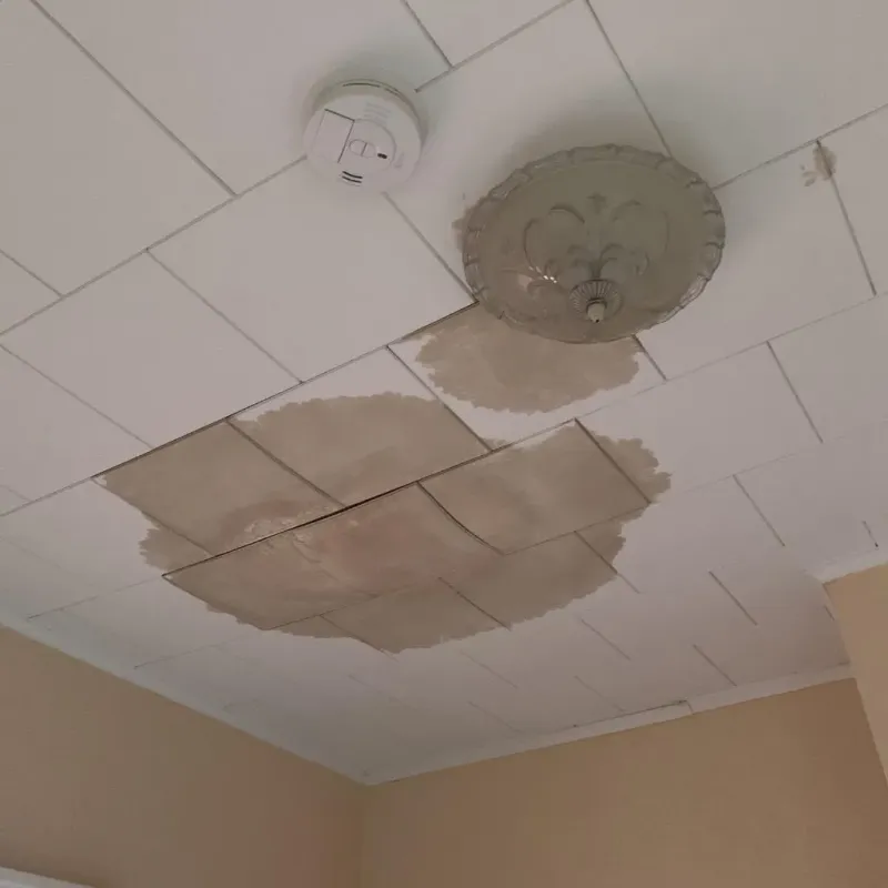Ceiling Water Damage Repair in New Market, VA