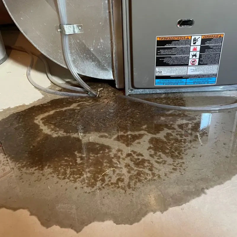 Pipe Burst and Leak Restoration in New Market, VA