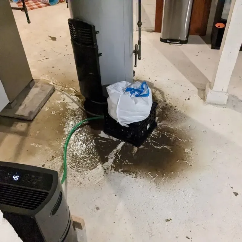 Sewage Backup Cleanup Service in New Market, VA